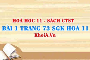 Bài 1 trang 73 SGK Hóa 11 Chân trời sáng tạo
